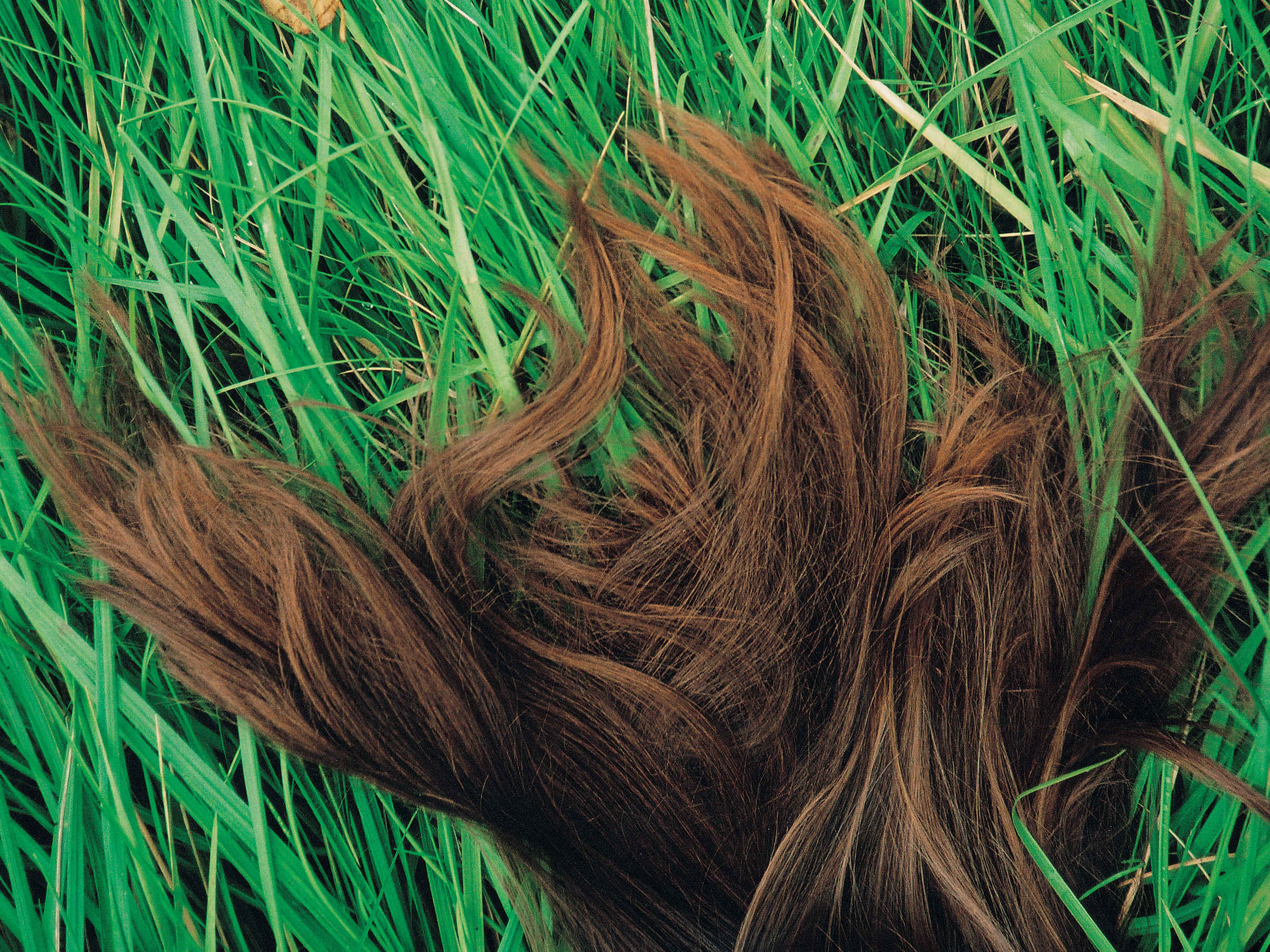 Issue 3: Hair | Bidoun