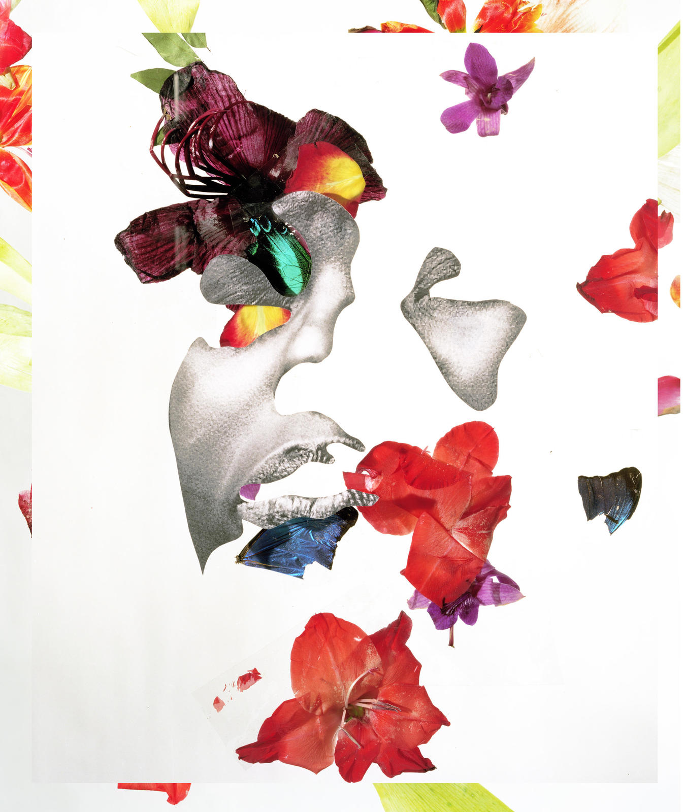 Issue 17: Flowers | Bidoun